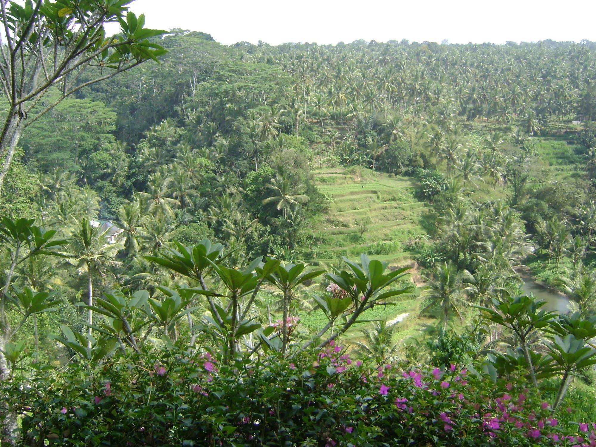 Отель Taman Bebek Bali Убуд Экстерьер фото