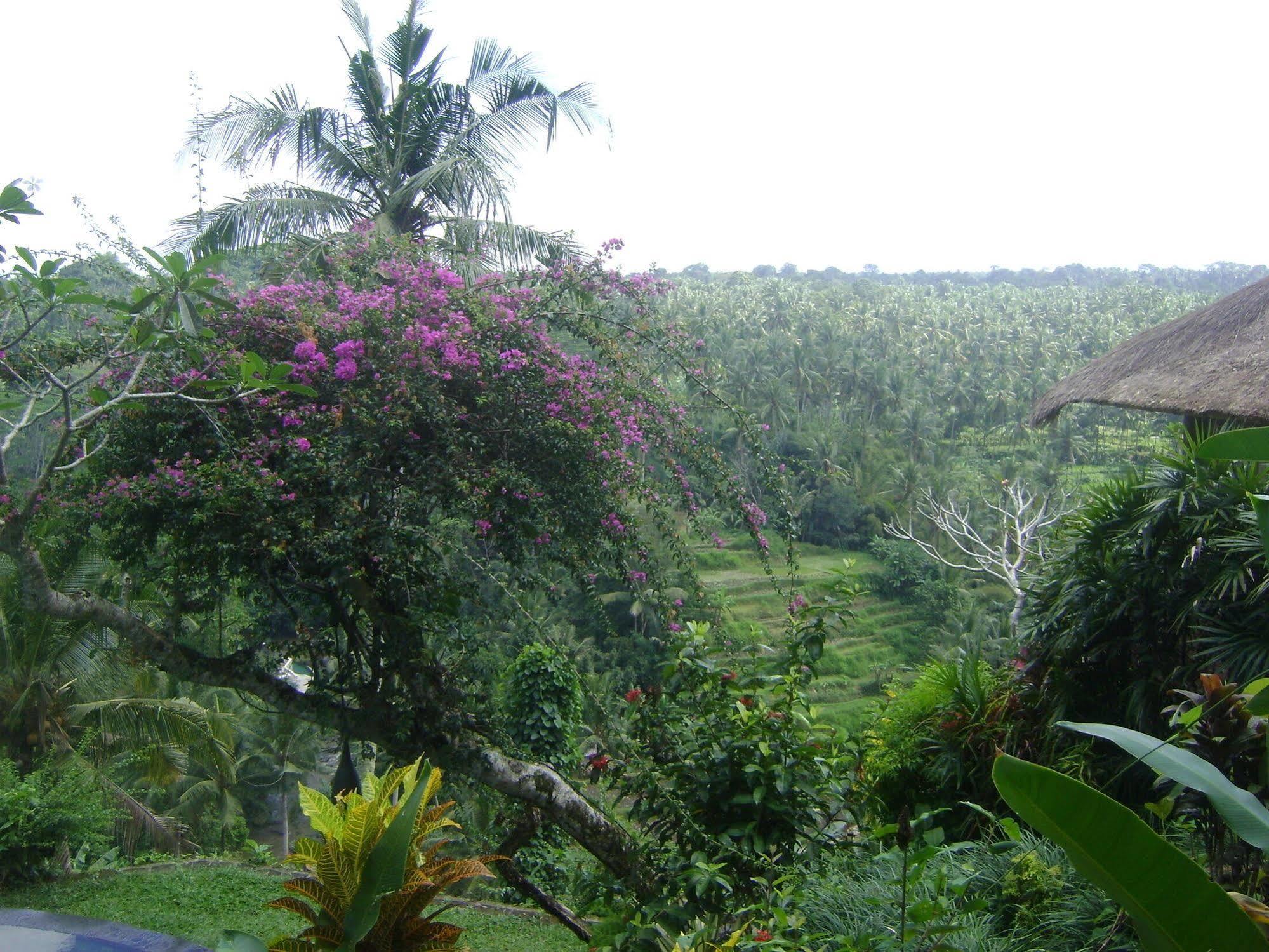 Отель Taman Bebek Bali Убуд Экстерьер фото
